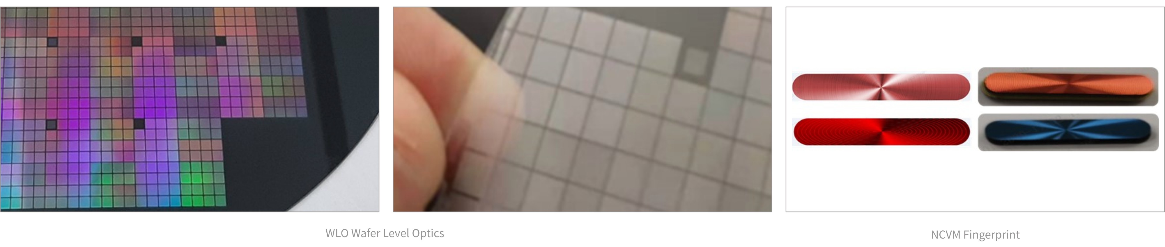 首页-欧陆注册-eHR治理系统