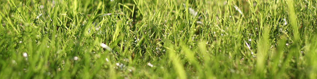 unohacha_20170309103952